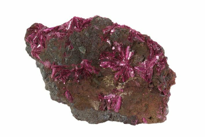Vibrant, Magenta Erythrite Crystals - Morocco #93602